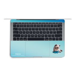 Foils for Laptops matt