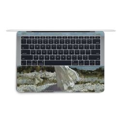 Foils for Laptops matt