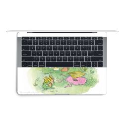 Foils for Laptops matt