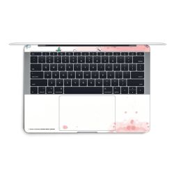 Foils for Laptops matt