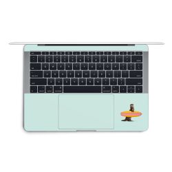 Foils for Laptops matt