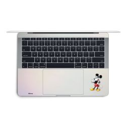 Foils for Laptops matt