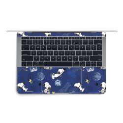 Foils for Laptops matt