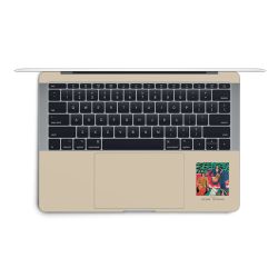 Foils for Laptops matt