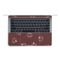 Foils for Laptops matt