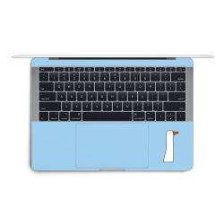 Foils for Laptops matt