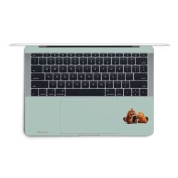 Foils for Laptops matt