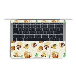 Foils for Laptops matt