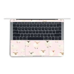 Foils for Laptops matt