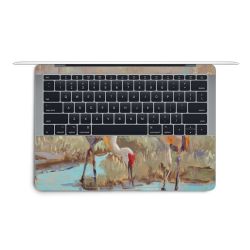 Foils for Laptops matt