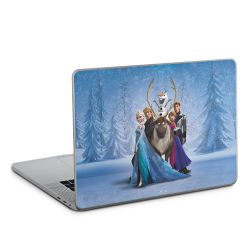 Foils for Laptops matt