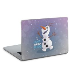 Foils for Laptops matt