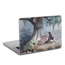 Foils for Laptops matt