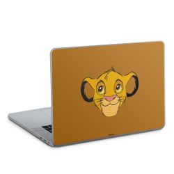 Foils for Laptops matt