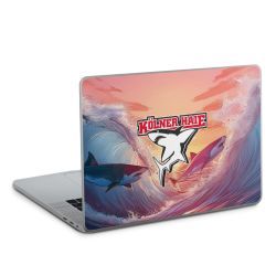 Foils for Laptops matt