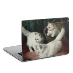 Foils for Laptops matt