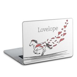 Foils for Laptops matt