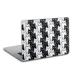 Foils for Laptops matt