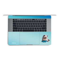 Foils for Laptops matt