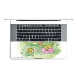 Foils for Laptops matt