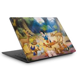 Foils for Laptops matt