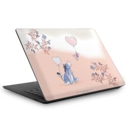 Foils for Laptops matt