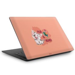 Foils for Laptops matt