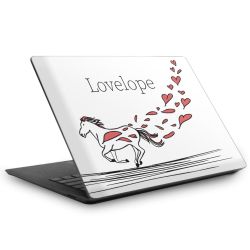 Foils for Laptops matt