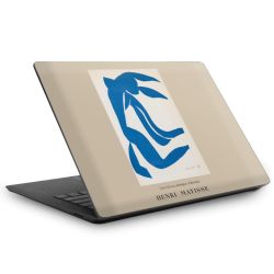 Foils for Laptops matt