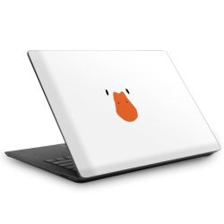 Foils for Laptops matt