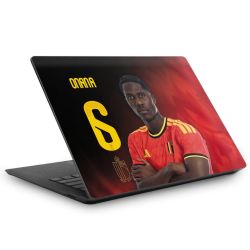 Foils for Laptops matt