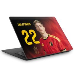 Foils for Laptops matt