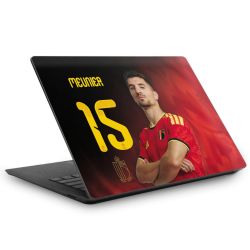 Foils for Laptops matt