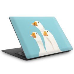 Foils for Laptops matt