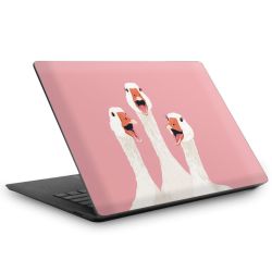 Foils for Laptops matt