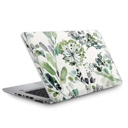 Herbes Sauvages Eucalyptus