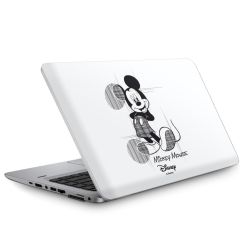 Foils for Laptops matt