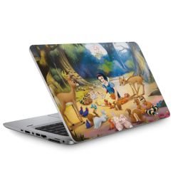 Foils for Laptops matt