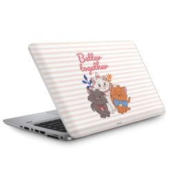 Folien für Laptops matt