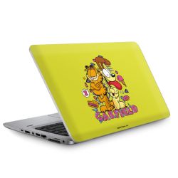 Foils for Laptops matt