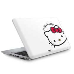 Folien für Laptops matt