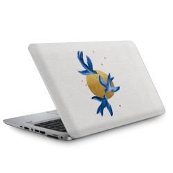 Foils for Laptops matt