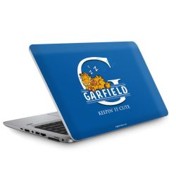 Foils for Laptops matt