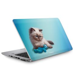 Foils for Laptops matt