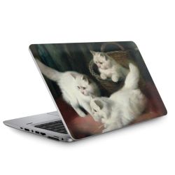 Foils for Laptops matt