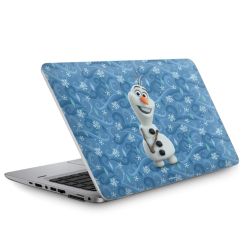 Foils for Laptops matt