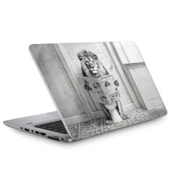 Foils for Laptops matt