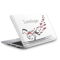 Foils for Laptops matt