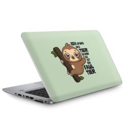 Foils for Laptops matt