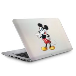 Foils for Laptops matt